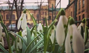 2018.04.02 засідання Вченої ради університету