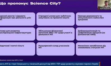 Image: MON presentation on Zoom