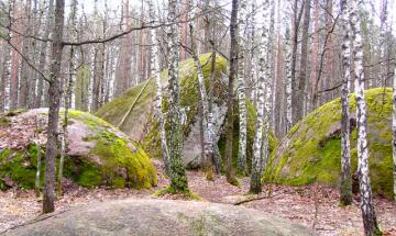 Україна. Полісся. Камінне село