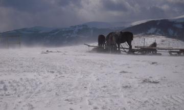 2011. Таланти КПІ. Карпаты, начало бури. Ізотов Ілля - ФІОТ, ІА-61, 5 курс Переможець в номінації "Краще зображення природи"