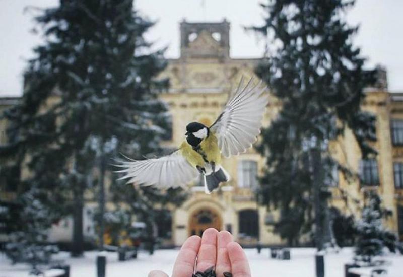 2017.02.16 Загальні збори Ради молодих учених університету