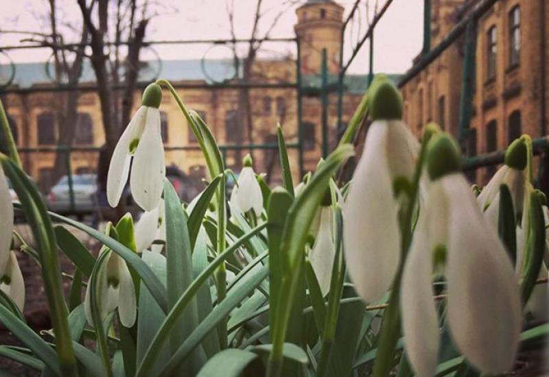 2018.04.02 засідання Вченої ради університету