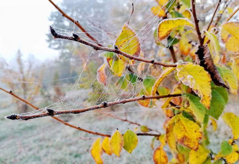 Переможці  фотоконкурсу: творчі і талановиті