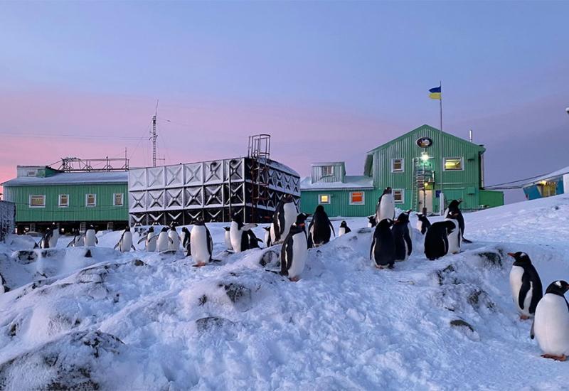 🐧 Конкурс у 30-ту Українську антарктичну експедицію