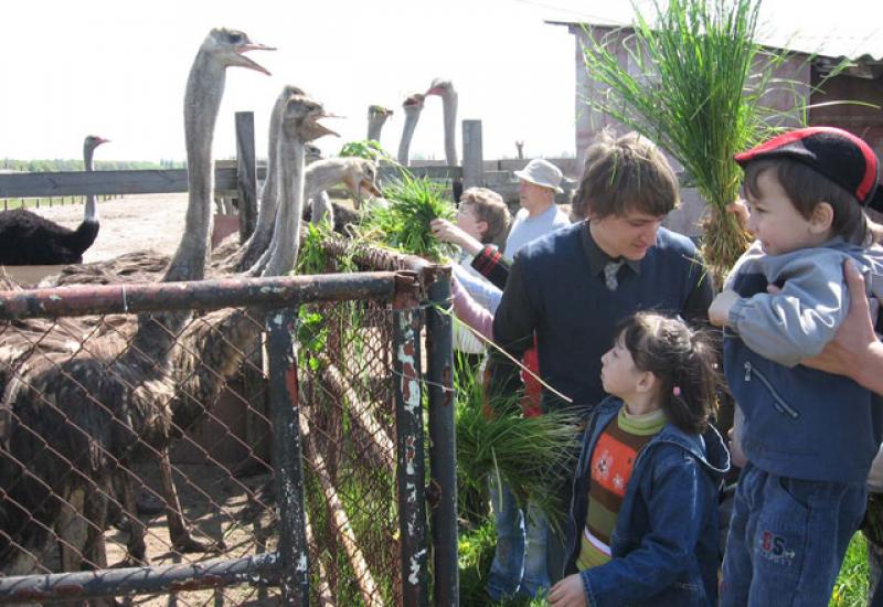 2008.05.10 Візит до страусячої ферми дітей-сиріт, організований студентами КПІ