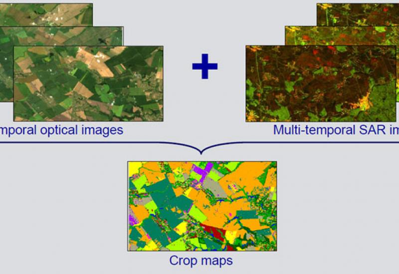 НТУУ «КПІ» виграв дослідницький грант Google Earth Engine