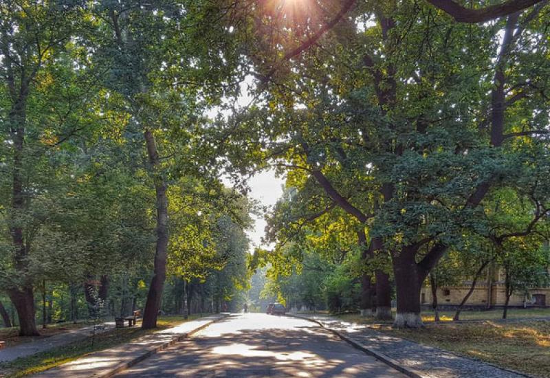 Соціально-екологічна акція з прибирання зелених зон та благоустрою територій