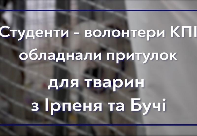 04.05.2022 Студенти-волонтери КПІ допомагають обладнувати притулок для тварин з Ірпеня та Бучі