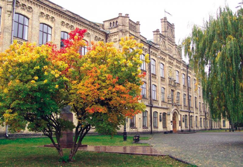 Кампус КПІ. Скумпія біля головного корпусу КПІ, 2009