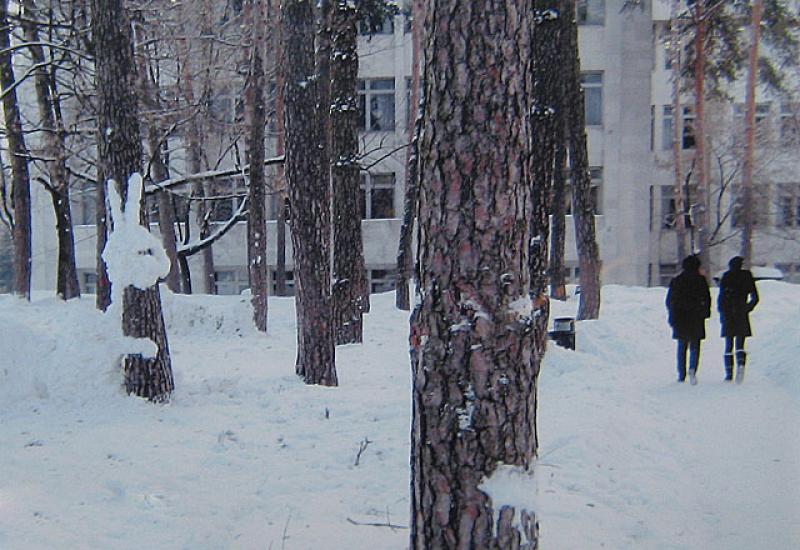 Таланти КПІ 2010. Войтко С.В. Зайчик-спостерігач /  Войтко Сергій Васильович, ФММ