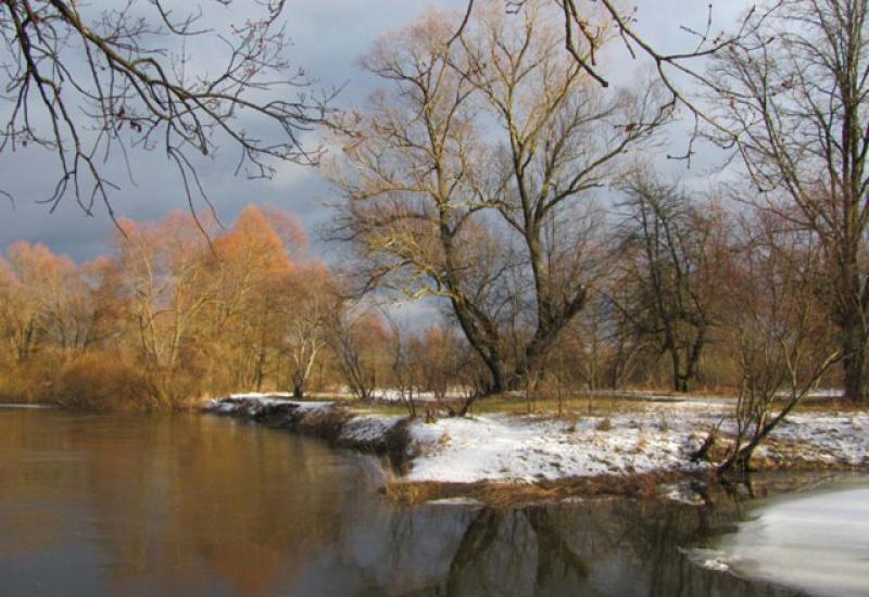 Таланти КПІ 2012. Ліхоузова Тетяна Анатоліївна. Тетерев, весна