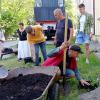 Grapevine from the Section of Alumni of Igor Sikorsky Kyiv Polytechnic Institute in Poland