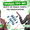 20.09.2022 Правда про ІМЗ: (не)добір, викладачі, робота на кафедрі. Марія Кружкова, вступниця до магістратури ІМЗ. CAMPUS#56