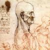 Leonardo da vinci, Profile of a man and study of two riders